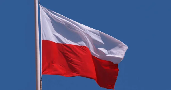Polish Flag Waving Wind Blue Sky — Stock Photo, Image