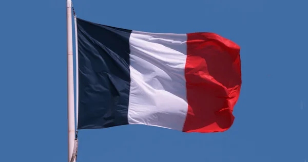 French Flag Waving Wind — Stock Photo, Image