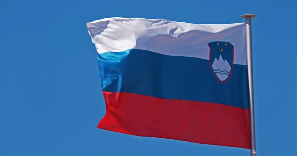 Slovenian Flag Waving Wind Blue Sky — Stock Photo, Image