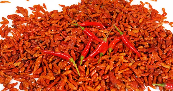 Röd Chili Paprika Capsicum Annuum Faller Mot Med Bakgrund — Stockfoto
