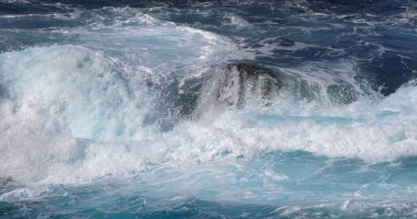 Dalga, Atlantik Okyanusu, Porto Moniz, Madeira Adası, Portekiz 'e düştü.
