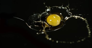 Yeşil zeytin, Olea avrupa, Kara Arkaplan 'a karşı zeytinyağı dökülüyor