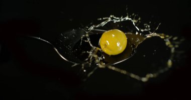 Yeşil zeytin, Olea avrupa, Kara Arkaplan 'a karşı zeytinyağı dökülüyor