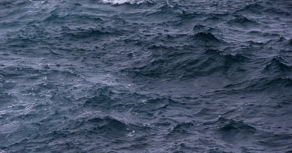 Golven Atlantische Oceaan Porto Moniz Madeira — Stockfoto