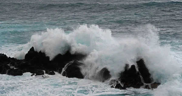 Golving Tegen Rotskust Atlantische Oceaan Porto Moniz Madeira Eiland Portugal — Stockfoto
