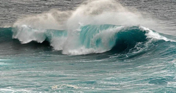 Hullámok Atlanti Óceánon Porto Moniz Madeira Sziget Portugália — Stock Fotó