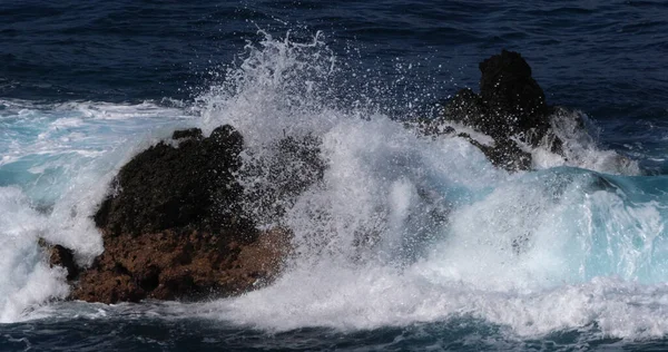 Wave Crash Rock Coastline Atlantic Ocean Porto Moniz Madeira Island — Stock Photo, Image