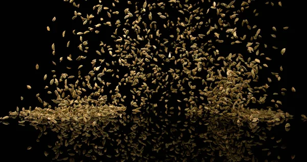 Cardamom Elettaria Cardamomum Спеції Падають Чорний Фон — стокове фото