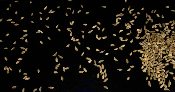 Cardamomo Elettaria Cardamomum Especia Que Cae Sobre Fondo Negro —  Fotos de Stock