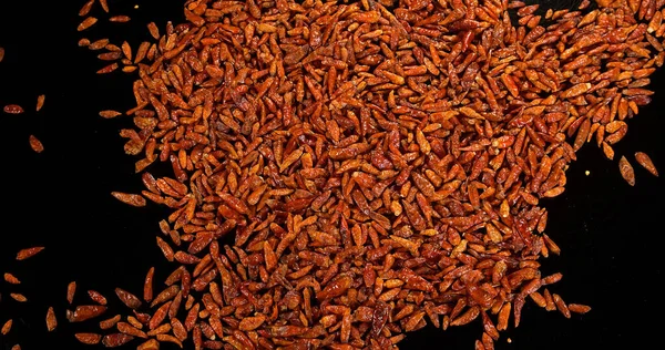 Cayenne Chili Pepper Capsicum Frutescens Rempah Rempah Jatuh Melawan Black — Stok Foto