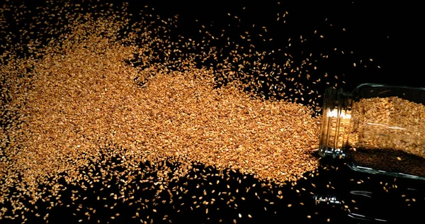 Сезам Золотого Цвета Sesamum Indicum Семена Падающие Черный Фон Посуда — стоковое фото