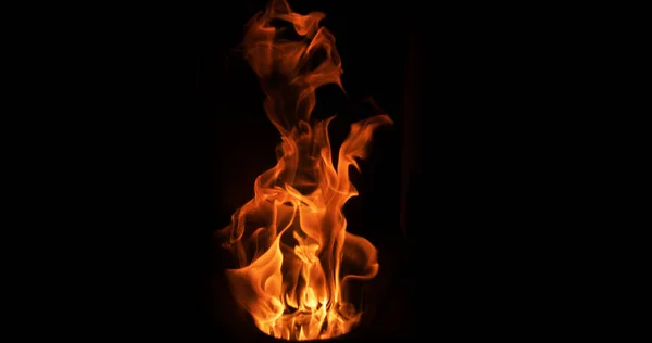 Lángok Tűzhelyen Lángok Tűzhelyen — Stock Fotó