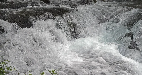 ログ滝 ロスキースラップ クルカ自然公園 ダマルティアのシベニク近く クロアチア — ストック写真
