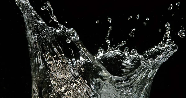 Wasser Explodiert Und Plätschert Vor Schwarzem Hintergrund — Stockfoto