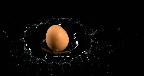 Яйцо Падает Воду Черном Фоне — стоковое фото
