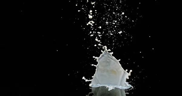 Milk Bouncing Splashing Black Background — Stock Photo, Image