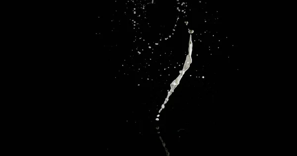 Mleko Bouncing Splashing Czarnym Tle — Zdjęcie stockowe