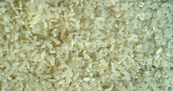 Reis Vor Schwarzem Hintergrund — Stockfoto