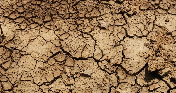 Drought Normandy France Drought Normandy — Stock Photo, Image