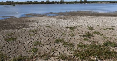 Fransa 'nın güneydoğusundaki Camargue Bataklıklarında Su ve Kuraklık