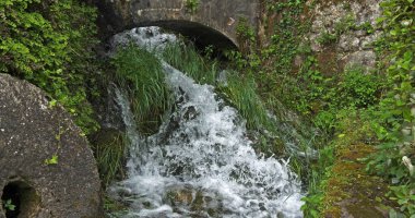 Şelale, Nehir, Krka Doğal Parkı, Hırvatistan 'ın Damaltia kentinde Sibenik yakınlarında