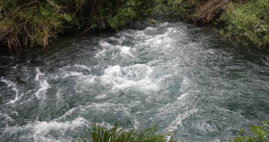 Şelale, Nehir, Krka Doğal Parkı, Hırvatistan 'ın Damaltia kentinde Sibenik yakınlarında