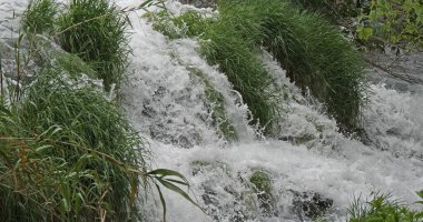 Şelale, Nehir, Krka Doğal Parkı, Hırvatistan 'ın Damaltia kentinde Sibenik yakınlarında