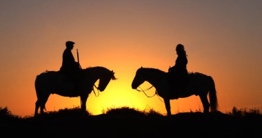 Camarguais Horse at the Dunes at the Sunrise, Manadier in the Camargue in the South East of France, Les Saintes Maries de la Mer