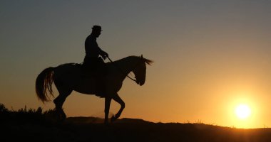 Camargue Atı 'ndaki adam, Gündoğumunda Manadier Saintes Maries de la Mer, Camargue, Fransa' nın güneyinde, İnek Çocuk