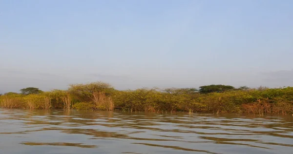 Baringo Lake Landskap Visar Uppkomsten Vatten Med Träd Kenya — Stockfoto