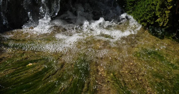 Wodospad Krka Natural Park Blisko Sibenika Damaltii Chorwacja — Zdjęcie stockowe