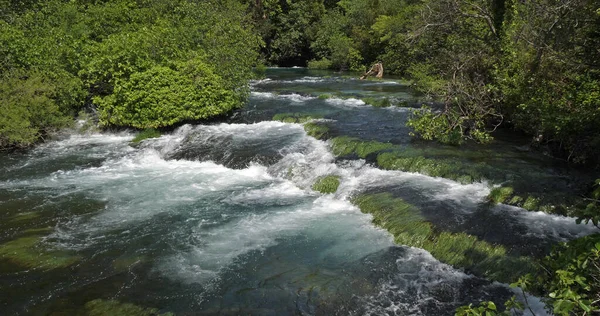 Cascada Río Parque Natural Krka Cerca Sibenik Damaltia Croacia —  Fotos de Stock