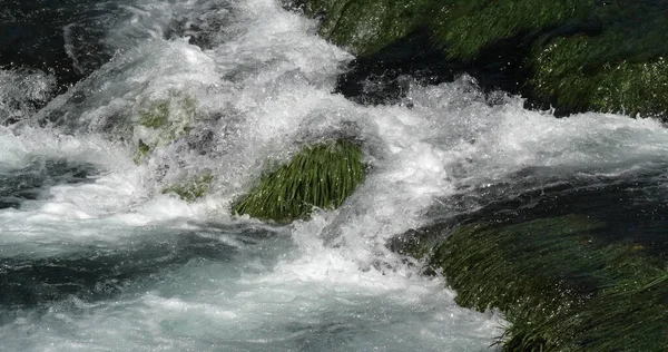 Waterval Rivier Krka Natuurpark Dichtbij Sibenik Damaltia Kroatië — Stockfoto