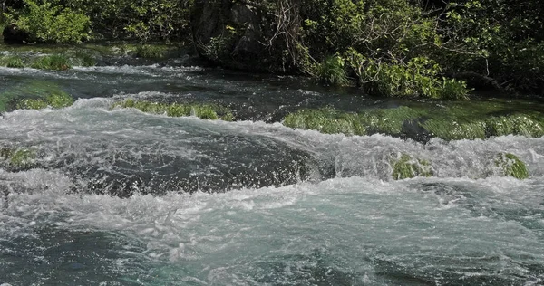 Cascada Río Parque Natural Krka Cerca Sibenik Damaltia Croacia — Foto de Stock
