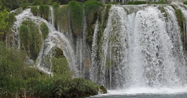 Vesiputous Krka Luonnonpuisto Lähellä Sibenikiä Damaltiassa Kroatiassa — kuvapankkivalokuva