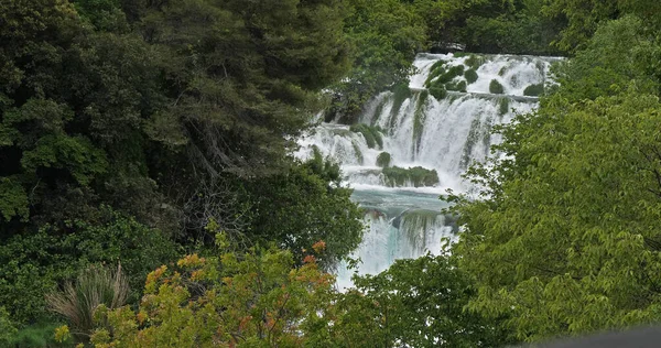 Foss Krka Naturpark Nærheten Sibenik Damaltia Kroatia – stockfoto
