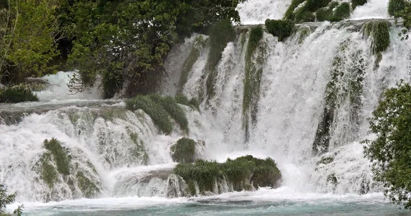 Şelale, Krka Doğal Parkı, Hırvatistan 'ın Damaltia kentinde Sibenik yakınlarında