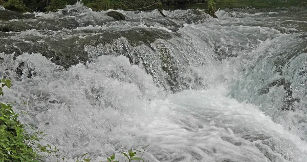 Cascada Râul Parcul Natural Krka Apropiere Sibenik Damaltia Croația — Fotografie, imagine de stoc