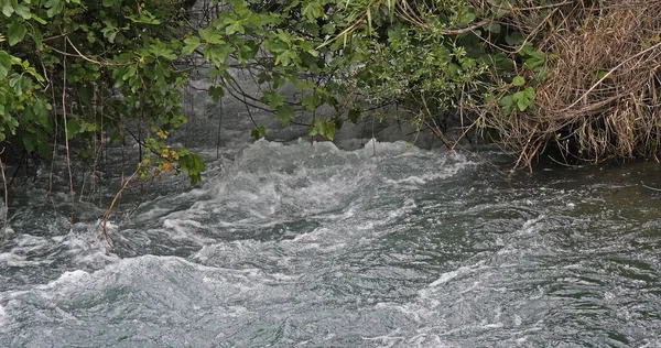 Şelale, Nehir, Krka Doğal Parkı, Hırvatistan 'ın Damaltia kentinde Sibenik yakınlarında