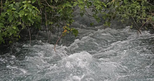 Air Terjun Sungai Taman Alam Krka Dekat Sibenik Damaltia Kroasia — Stok Foto