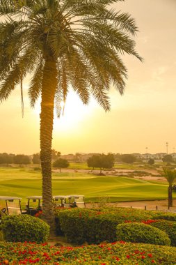 Parkta gün batımı, golf kulübü, gün batımı golf kulübü, doğa, yaz, Dubai.