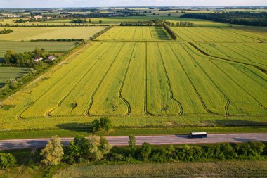Uçsuz bucaksız yeşil tarlaların uçsuz bucaksız manzarası ekin desenleri, kırsal bir yol ve manzaralı kırsal araziden geçen bir araç..  