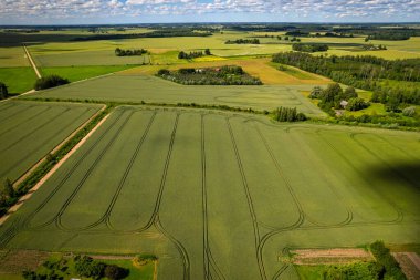Çekici yollarla işaretlenmiş yemyeşil tarlaların geniş hava görüntüsü, ağaçlarla çevrili ve kırsal alan parçalı bulutlu bir gökyüzü altında. Yüksek kalite fotoğraf