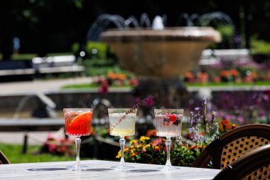 Rengarenk bir bahçede sunulan buz, turunçgil, böğürtlen ve otlarla servis edilen üç zarif kokteyl yaz ferahlığı için mükemmel. Yüksek kaliteli fotoğraf.