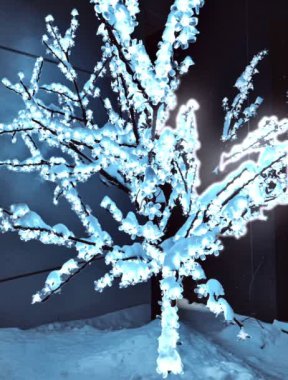 Geceleyin Noel ışıklarında dekoratif sokak ağacı. Ağaçtaki Noel çelenkleri. Noel 'de parlak çelenkler. Yeni yıl için nesneleri ışıklarla süslemek. Yüksek kaliteli FullHD görüntüler
