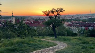 Prag 'ın yukarısındaki bir parkta gün doğumunun zaman aşımı. Yüksek kalite 4k görüntü