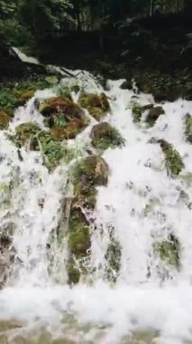 Ormanda çağlayan dağ şelalesi. Yüksek kalite 4k görüntü