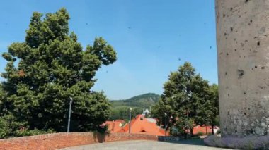 Swift 'ler Mikulov' daki kale kulesinin üzerinden uçuyor. Yüksek kalite 4k görüntü