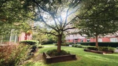 Prag, Avrupa 'daki bir yerleşim bölgesinde yeşil bir yaz avlusu. Yüksek kalite 4k görüntü