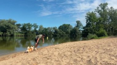 Yazın sahilde Corgi Dog 'la oynayan adam. Yüksek kalite 4k görüntü